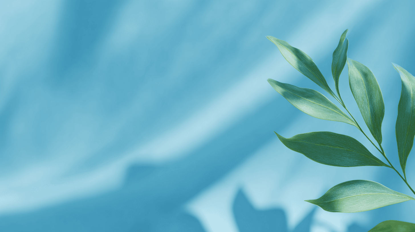 About PT Sanana Pelangi